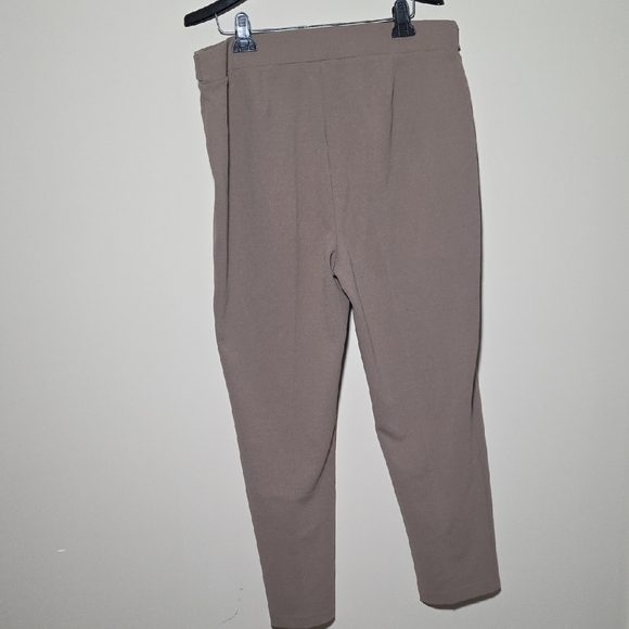 NYCC Elegant Taupe Ankle Pants - Picture 4 of 4